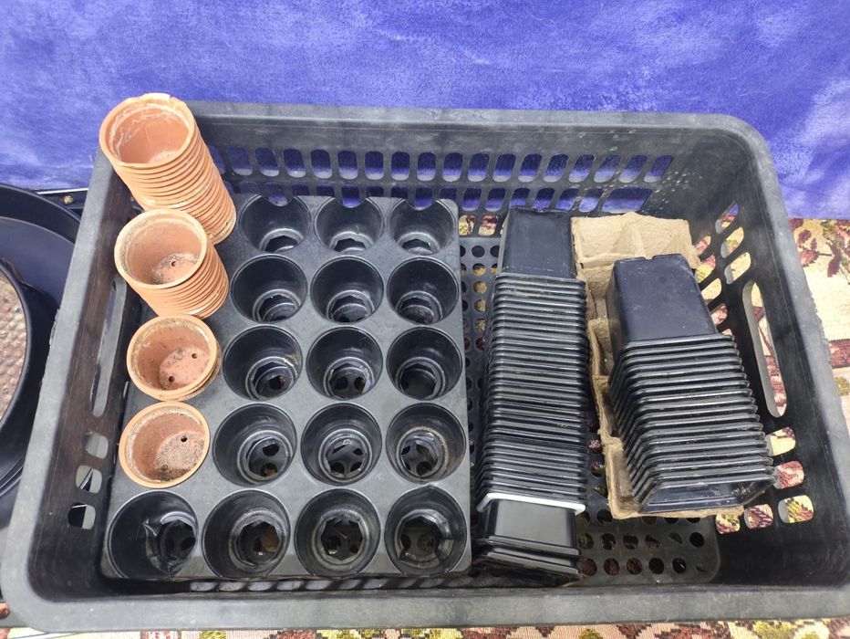 Мини парник с ультрафиолетовой подсветкой