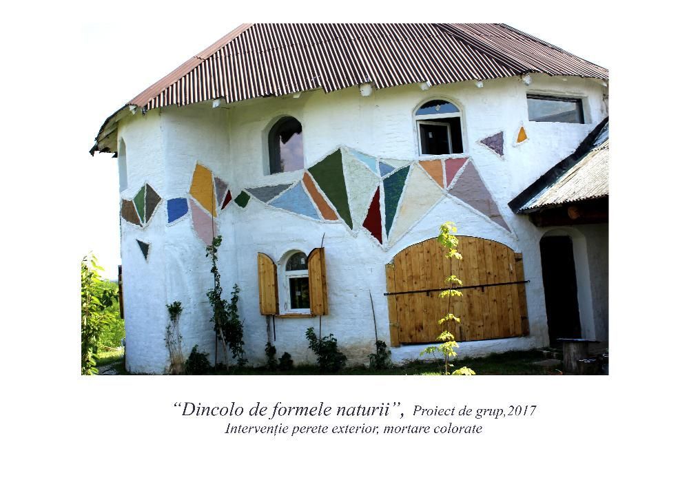 Pictura perete, tencuiala decorativa, design interior, exterior