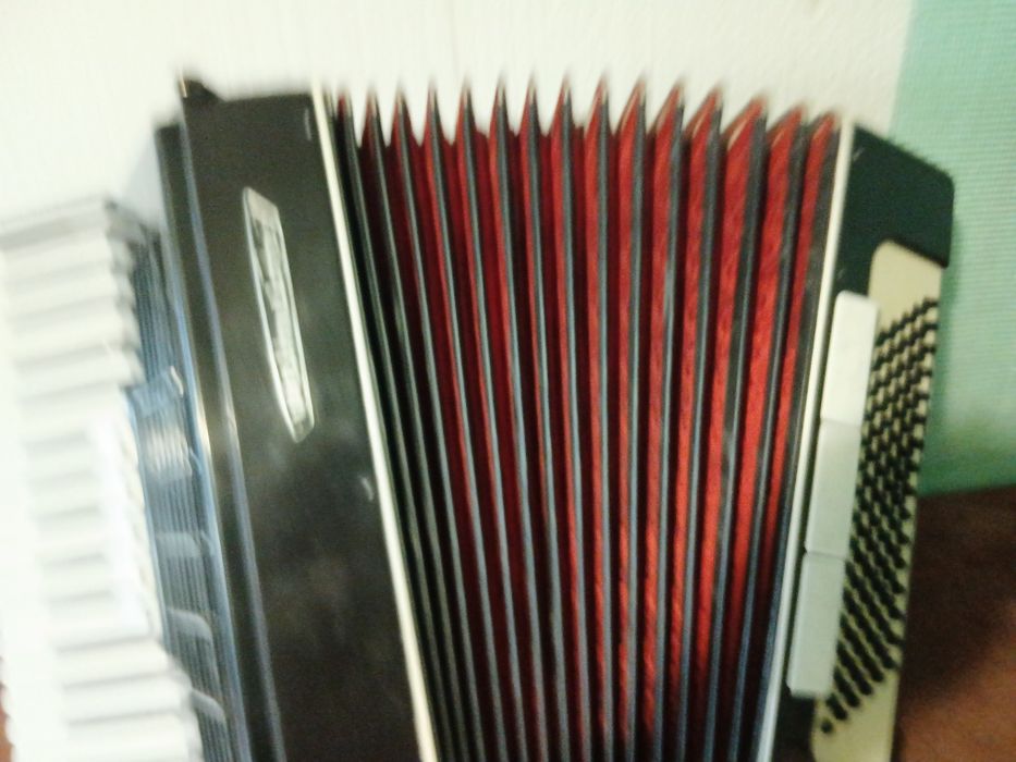 Акоордеон 96 баса