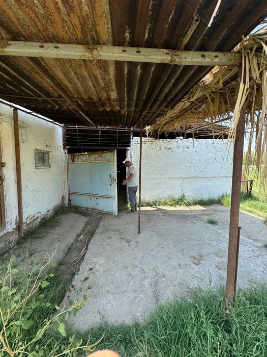 Продаётся ферма в Янгиюле