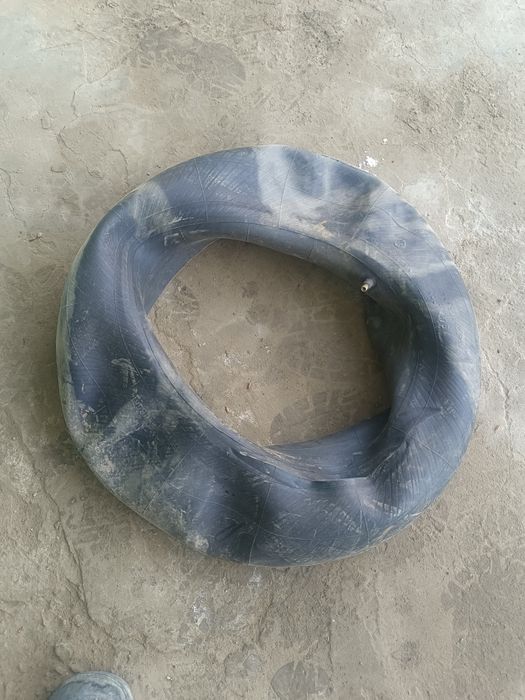 14 тик камер балонга