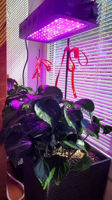 Lampa profesiuonala  pentru crestere plante  TS-600 cu LED de putere