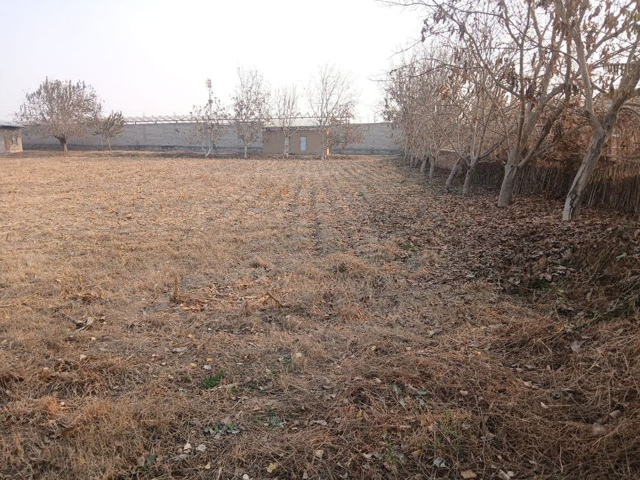 Yet sotiladi 21 sotikdan 2 ta