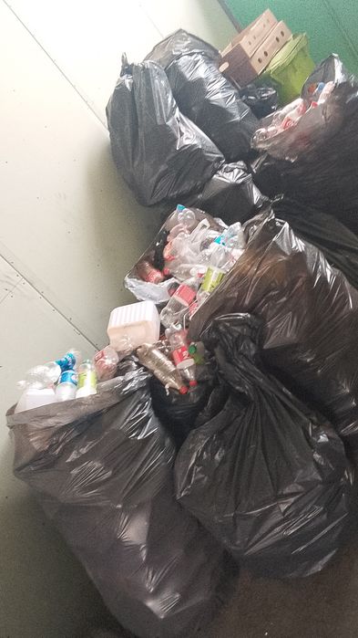 Макалутора баклашка бесплатно