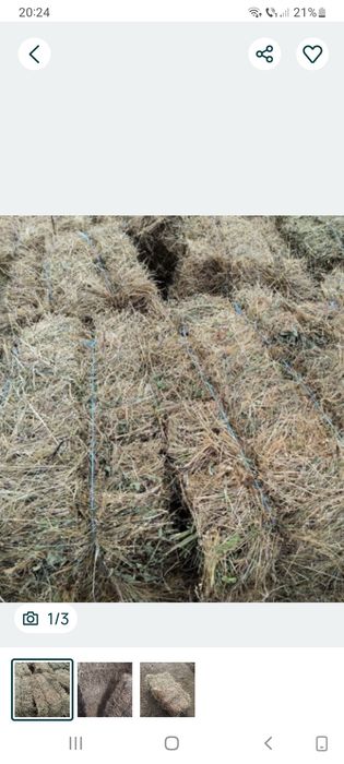 Vând bloț de fân, ne ploați și de calitate bună.