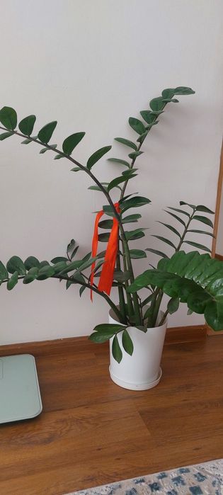 Продаём с переездом