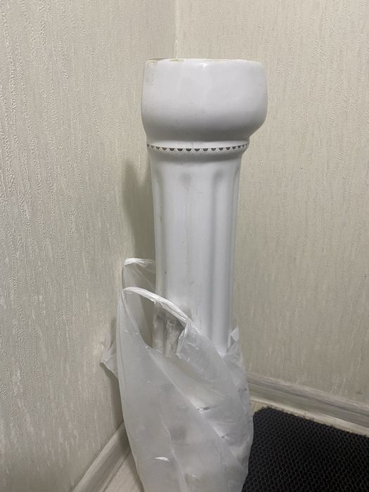 Раковина тюльпан