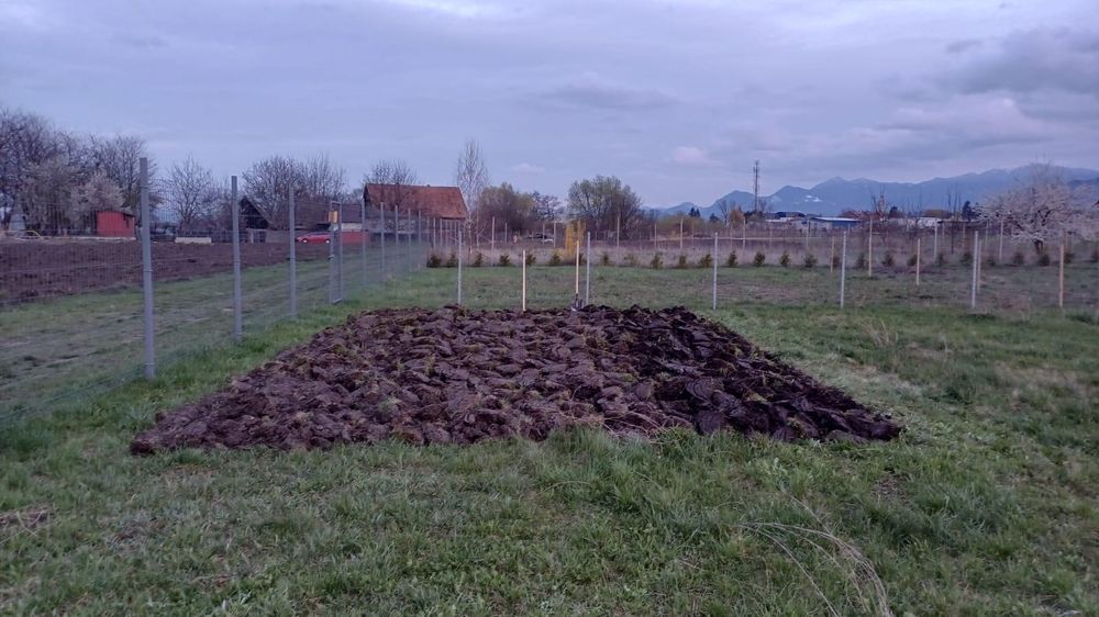 Lucrări cu motocultorul