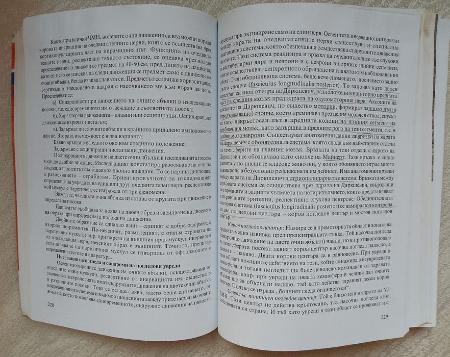 Основи на неврологията