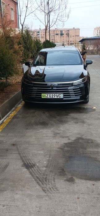 Byd Chazor 2024yil