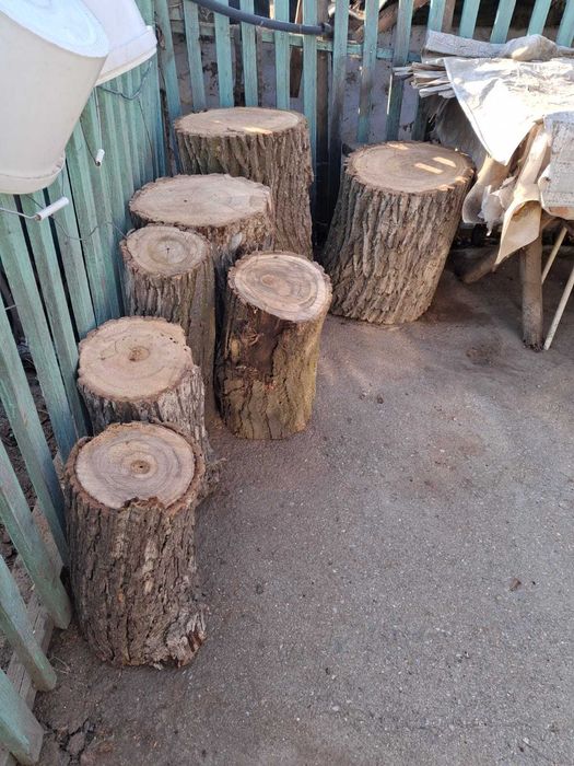 Продаются пеньки,дрова: орех, тополь.