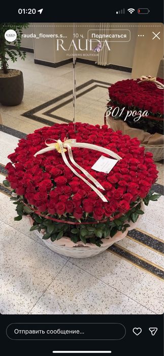 Цветы роза красный 301 срочно 50тыс