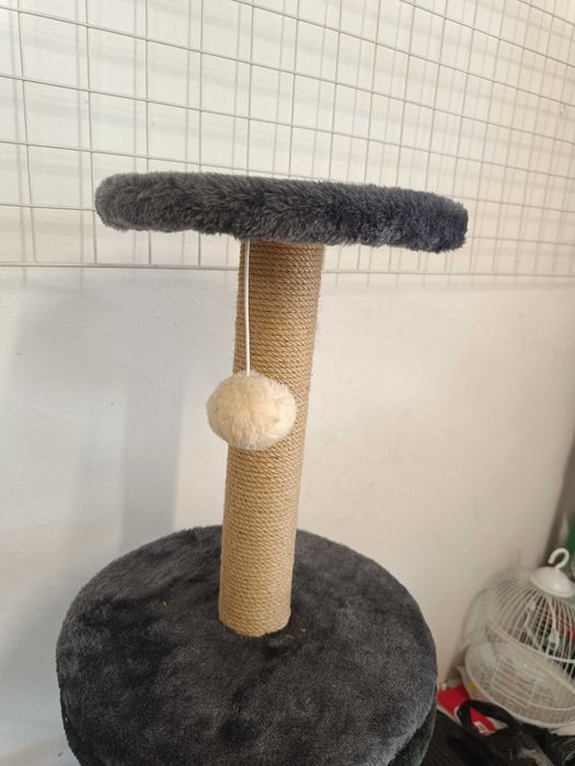 Котешки драскалки