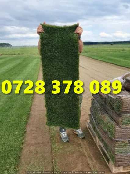 Gazon / Insamantare / Rulouri de Gazon