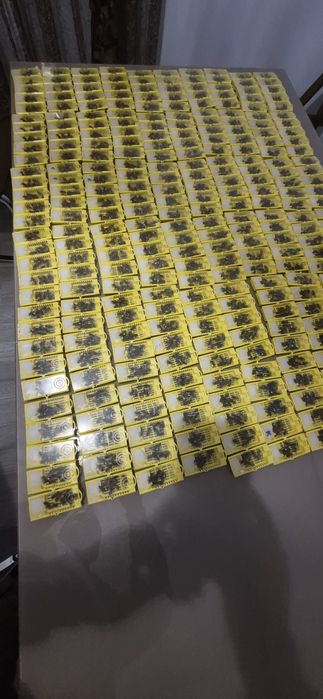 Regine mătci Buckfast carnica carpatină stupi albine  roiuri roi stupina rame familii miere mătci virgine neîmperecheate