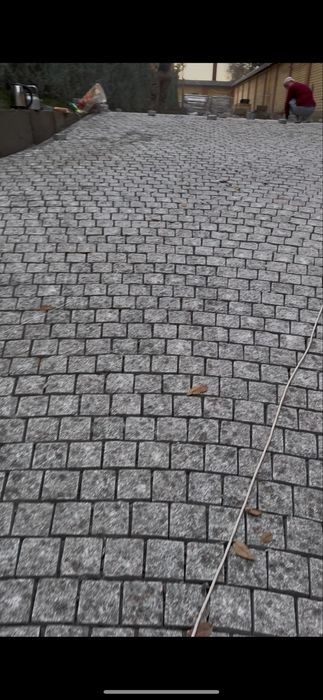 Koksaroy bruschatka. Sfatli mahsulot. Terib berish hizmati mavjud