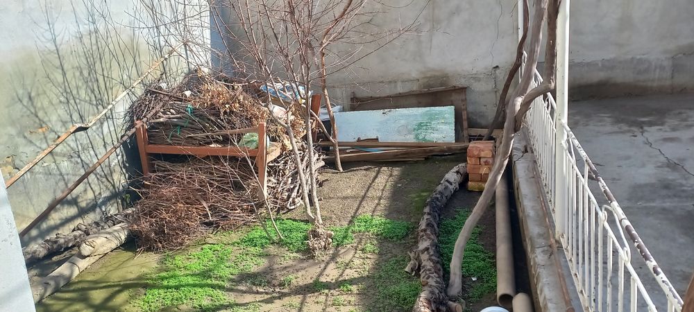 Quruq o'tin sotiladi