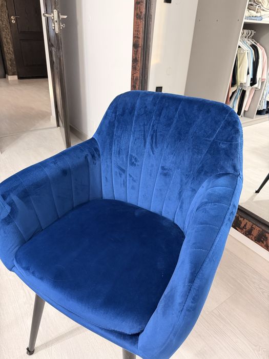 Scaune catifea albastre