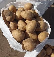 Продам картофель