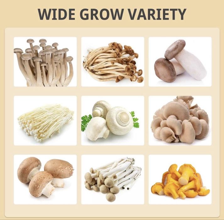 Кутия за отглеждане на гъби