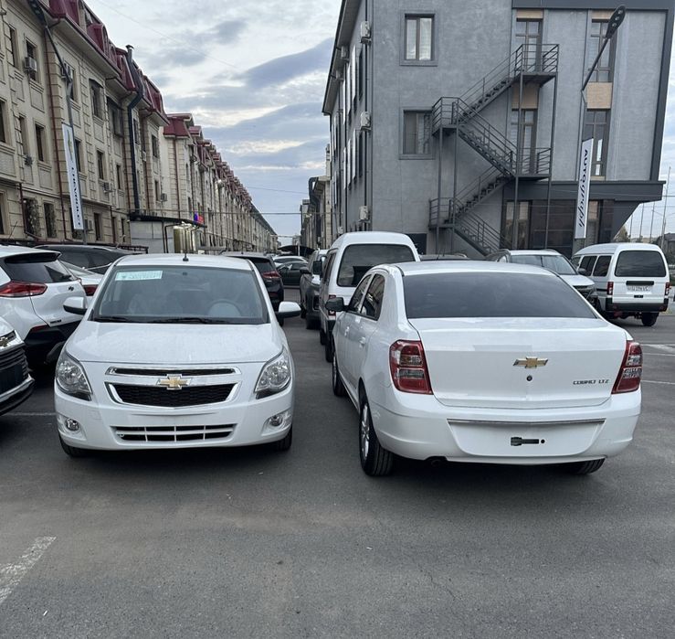 Кобальт  Stayl  масла 25