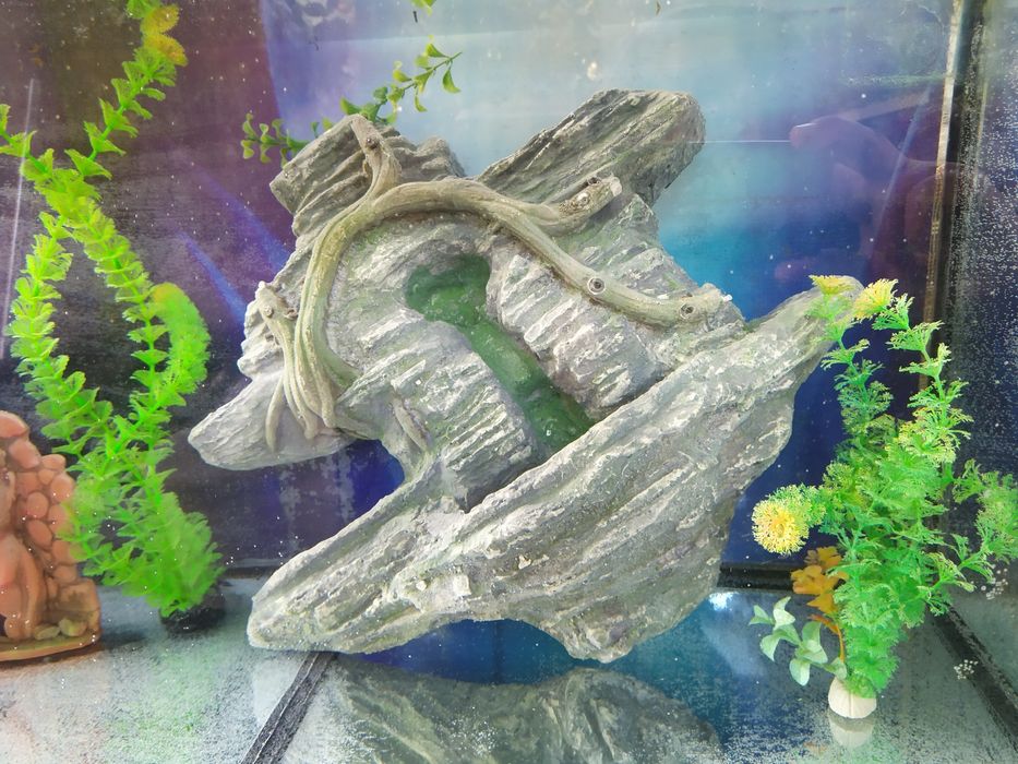 Декор для аквариума. Недорогие аквариумы.