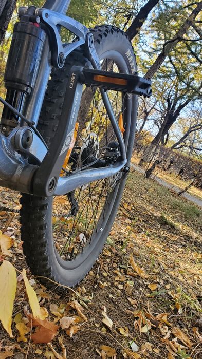 Двухподвес Giant stance 2 29  22года silver