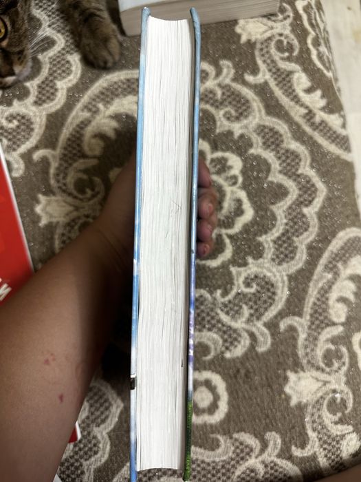 Ходячий замок книга