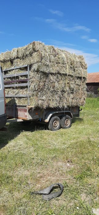 Vand baloti de fan si lucerna