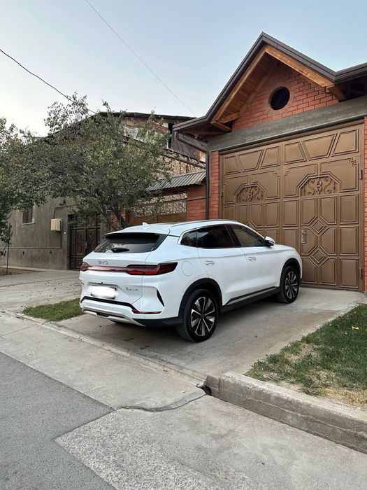 BYD chempion EV 2024