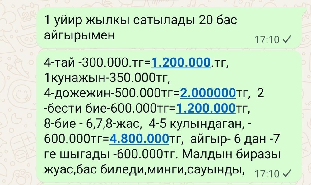 Бир уйир жылкы сатылады
