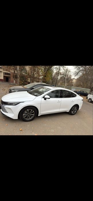 Other Chazor 2024 — 4