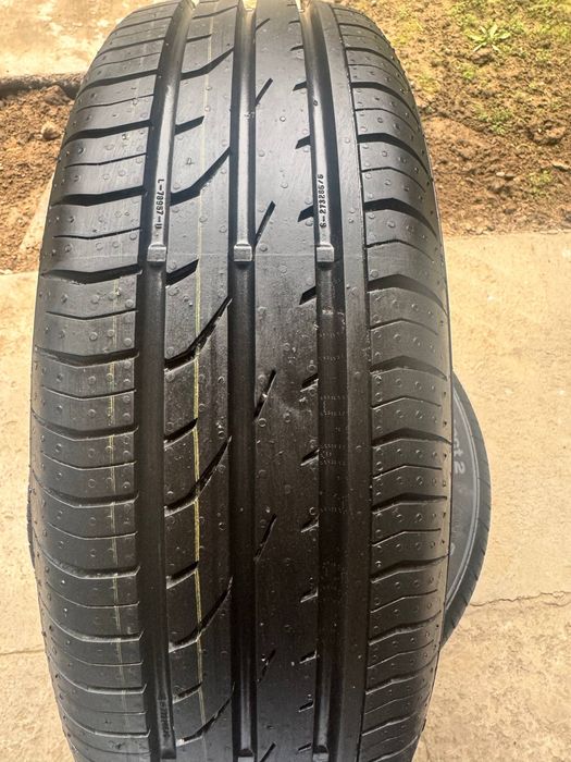 Cobalt zavatskoy baloni peregon tortasi sotiladi