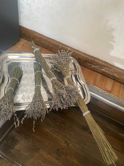 продаются букетики сухой лаванды