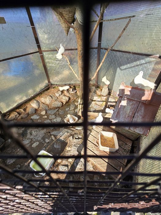 Гълъбарник ( клетка за птици )