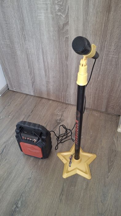 Set microfon boxa copii