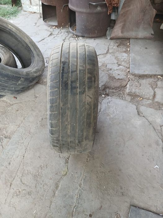 Автошины летние и зимние
