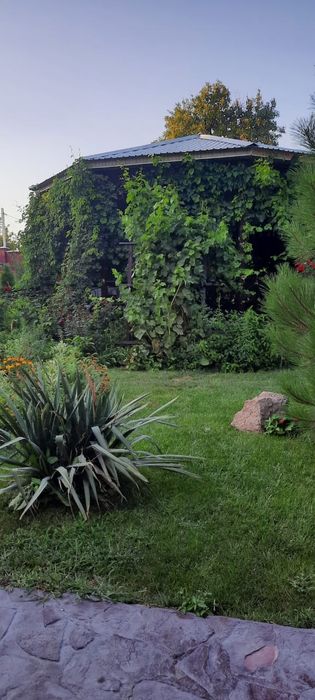 Продам дачу . Кайнар Булак .