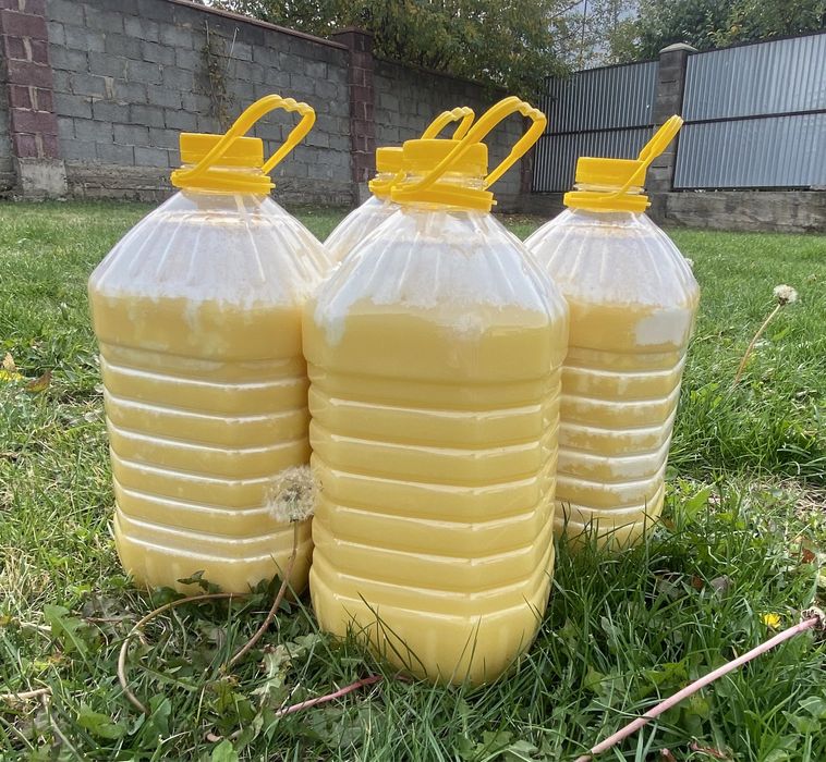 Продам мёд из ВКО. БАЛ.