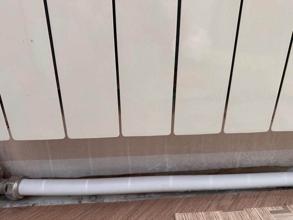 Аренда пароочистителя