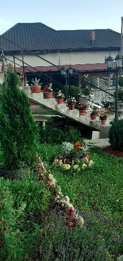 Vând Vila in Toplița!