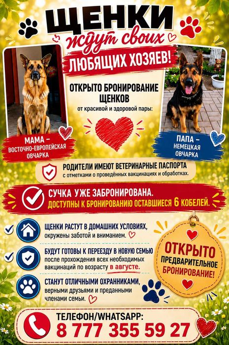 Бронирование и продажа щенков