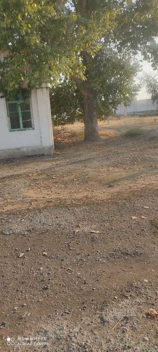 Yer sotiladi 95 sotih