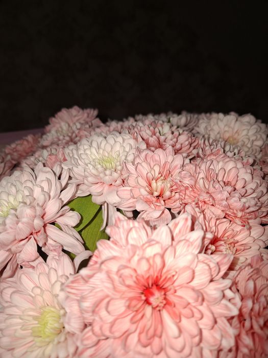 Гул сатылады... Жакында келген