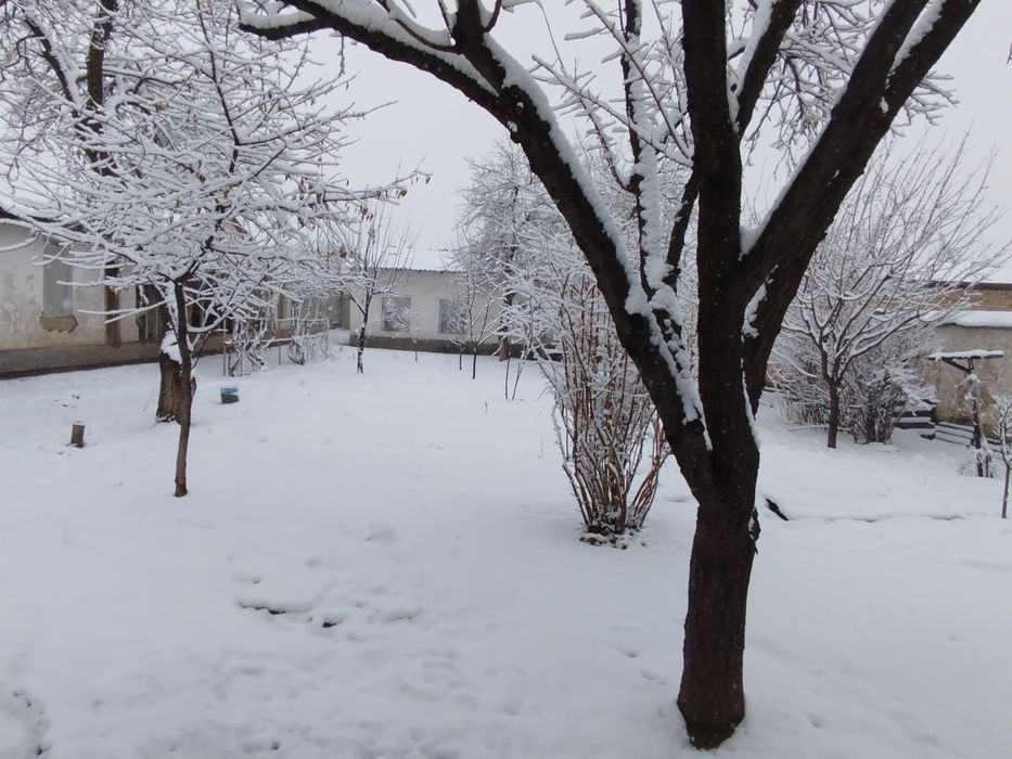 Сотилади.ховли 10сотих