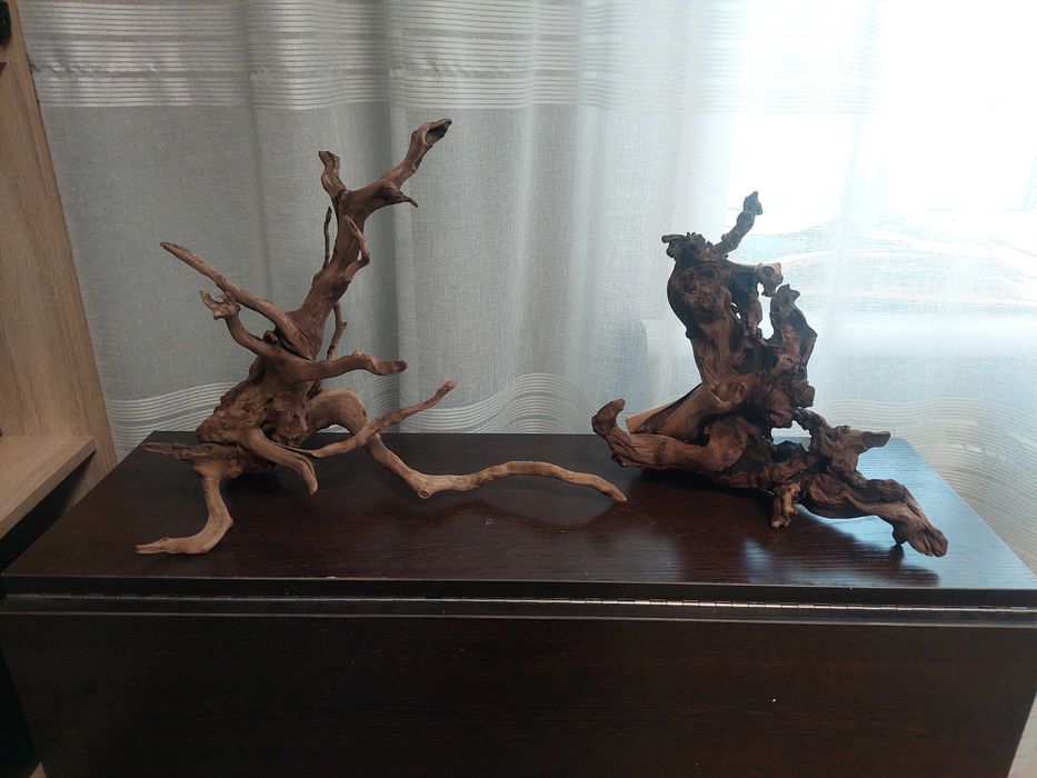 Продаются 2 коряги