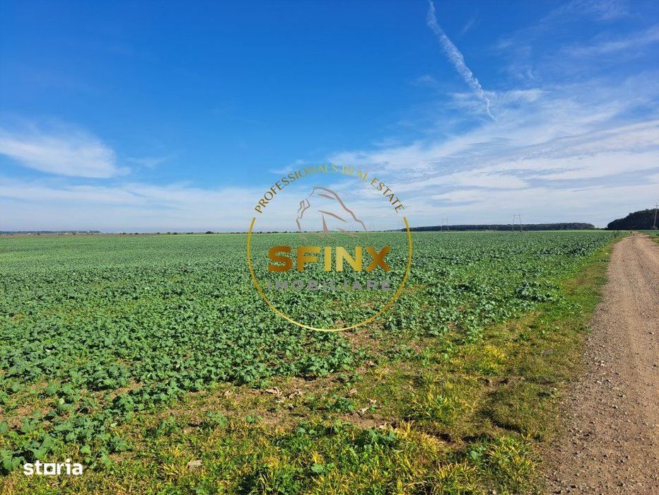 Teren intravilan Branesti 27000 mp km 12 A2 investitie