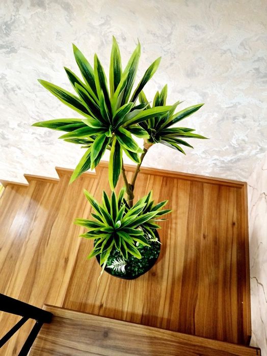 Суний гуллар. Искусственные цветы. Фито стены. Фито потолки.