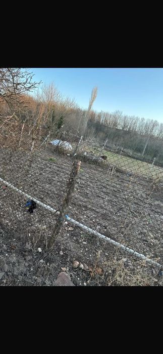 Продава се Къща в с. Езерово, Област Пловдив - 80 кв.м за 246 €/кв.м - Снимка #3