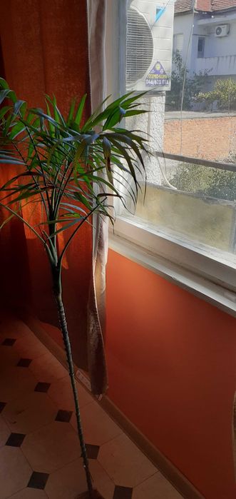 Дава се под наем Двустаен апартамент в Ямбол, Боровец - 68 кв.м за 229.5 € - Снимка #1